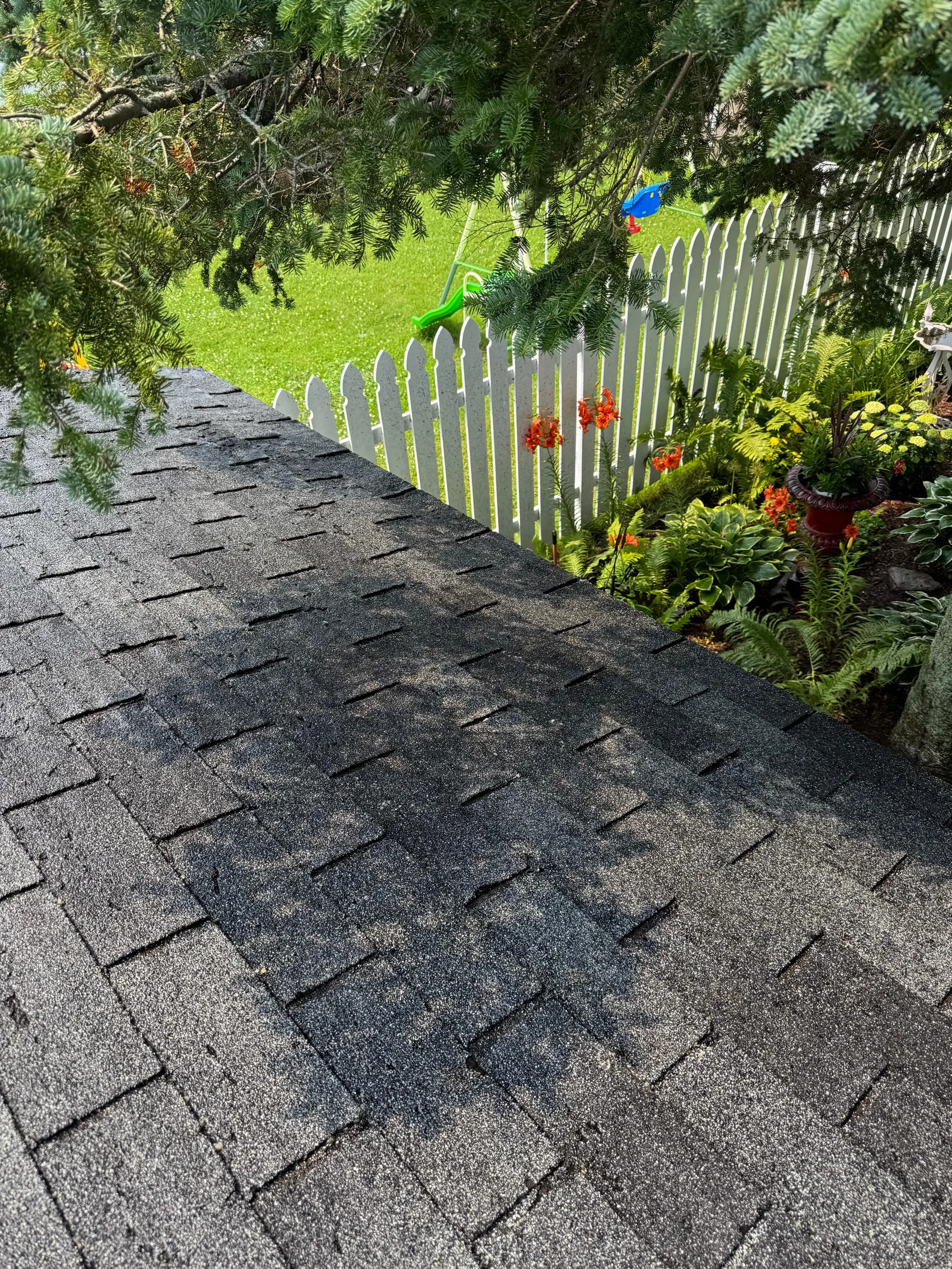 Roof Washing by Imperial Cleaning in Sault Ste. Marie, Ontario